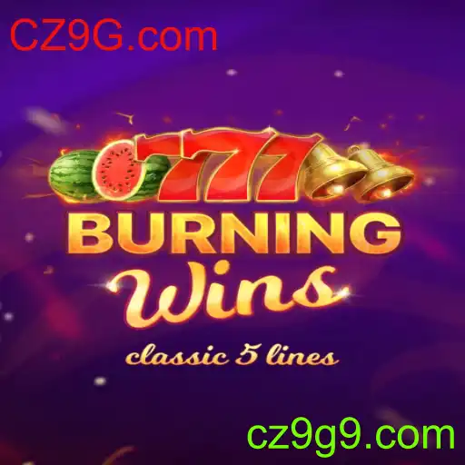 BurningWins